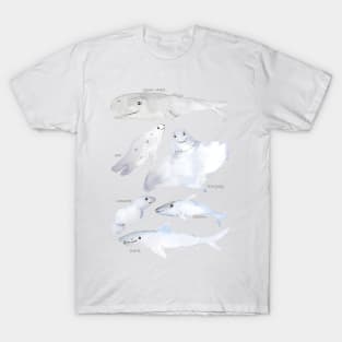 smiling sea animals T-Shirt